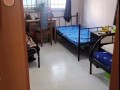 男性搭房