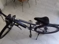 凤凰牌自行车