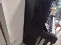 卡瓦依Kawai高端系帝王钢琴