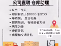 夜班仓库助理