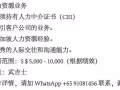 人力资源业务 5,000 - 10,000 武吉士