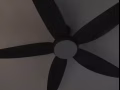 蔡厝港公寓普通房