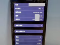 iPhone Xs Max 256G
