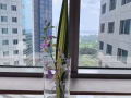 巴西立新公寓三房两厅整套低价出租无中介 Tel 89271601
