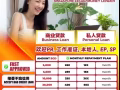 工作準證 WP SP PR LOCAL 都可以申請貸款 無需押金 最快批准貸款