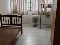 淡滨泥 东 大牌233