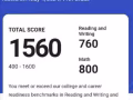 雅思 托福 SAT  ACT IB Aleve AP面授