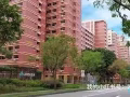 淡滨尼 大牌842H 出租大普通房