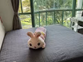 9成新以上床墊