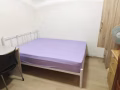 淡滨尼普通房出租 $800