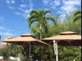 （可短租）東海岸複式公寓主人房出租，近維多利亞初院，淡馬錫初院，Siglap Center, 東海岸公園