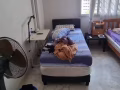 湖畔地鐵站附近搭房
