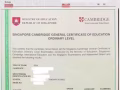📣【新加坡化学补习】成绩说话！NTU化学生亲授，10年经验，O水准/A水准全覆盖！