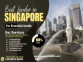 Singaporean, PR , WP , SP , EP