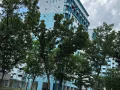 湖畔达曼裕廊男5人间下铺，房主直招无中介费610351