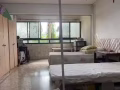 金文泰女搭房出租