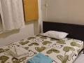 榜鹅主人房出租