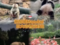 出两张动物园两张河川生态园的票