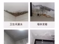別讓漏水破壞你的生活，新加坡專業漏水維修來啦！