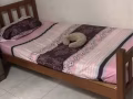 woodlands common room for rent