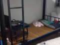 老文礼 ，有男搭房400、普通房搭房。可报服务业本屋住址靠近武林大型停车场金陵停车场