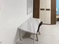 榜鹅主人房出租