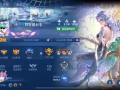 王者荣耀无双贵族十（552皮肤 3国服 2荣耀水晶背包）