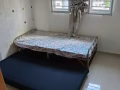 紅線坎貝拉NS12