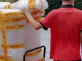 小强搬家，垃圾处理，机场接机，房间打扫卫生，诚信服务每位顾客，30新元起🙏🙏欢迎来电