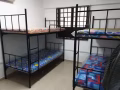 男搭房 月租 450 可報地址