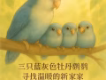 🐦【來自鳥媽媽的一封信】三隻寶貝找溫暖的新家