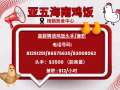 招聘雞飯頭手