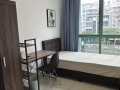 黄线青线普通房出租
