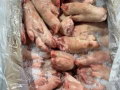 冷冻肉海鲜批发