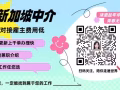 新加坡一手单，高薪水，办理快，专业办理十多年，加微信yangyi1733