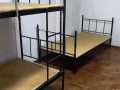 宏茂桥422/446/529/347/338男床位/女床位/有本屋地址/马上入住