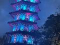 中专毕业山东青州职业技术学院 人在中国 求一个岗位（中介勿扰🙏）