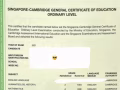 NTU学长一对一新加坡O Level补习！