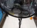 电风扇