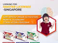 Looking For Master Licensee In Singapore