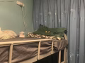 裕华园床位出租692118没删就是还在