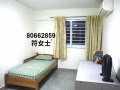 西海岸, 716, 普通房出租, 包水电网络, 找女生, 参考相片