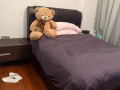 新加坡公寓出租