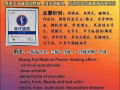 宋代盛凯膏药