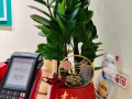 诚聘全职美容师 绣眉师