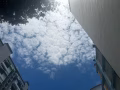 求职  店员or 书记