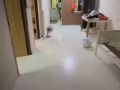 文庆地铁站楼上整套出租。无中介费