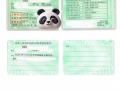 全岛最便宜驾照翻译 新加坡本土公司
