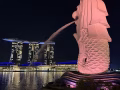 助手-没本事可以教/可是需要诚信好的人