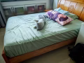 全免费自取，搬新家，旧家具
